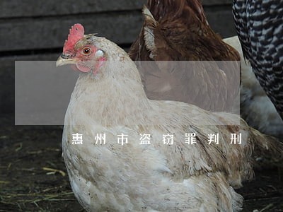 惠州市盗窃罪判刑 惠州市盗窃罪判刑