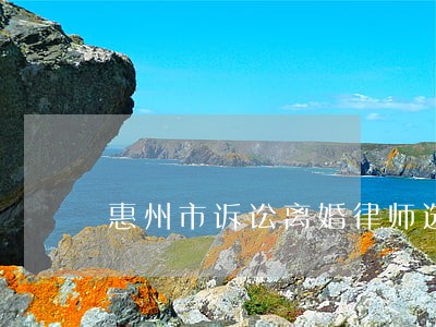 惠州市诉讼离婚律师选谁 惠州市诉讼离婚律师选谁