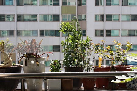 惠州惠城区保释律师哪个好 惠州惠城区保释律师哪个好