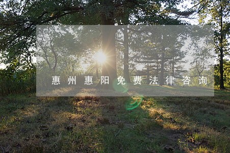 惠州惠阳免费法律咨询 惠州惠阳免费法律咨询