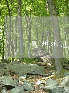 惠州拆迁律师咨询免费 惠州拆迁律师咨询免费
