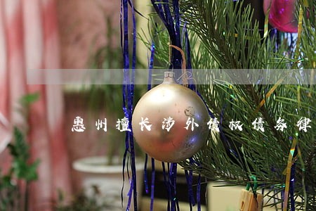 惠州擅长涉外债权债务律师推荐 惠州擅长涉外债权债务律师推荐