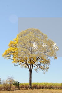 惠州最新版劳动合同法 惠州最新版劳动合同法