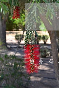 惠州有名房产律师所律师 惠州有名房产律师所律师