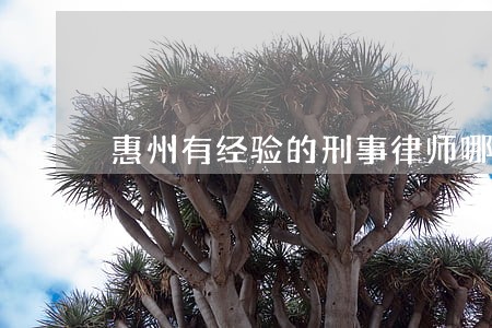 惠州有经验的刑事律师哪家信誉好