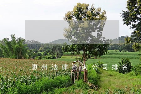 惠州法律咨询公司排名 惠州法律咨询公司排名