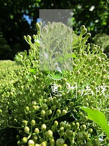 惠州法院拍卖房子贷款 惠州法院拍卖房子贷款