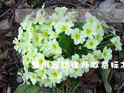 惠州离婚律师收费标准 惠州离婚律师收费标准