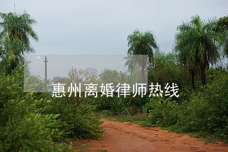 惠州离婚律师热线 惠州离婚律师热线