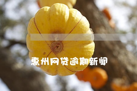惠州网贷逾期新闻 惠州网贷逾期新闻