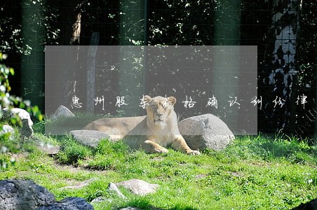 惠州股东资格确认纠纷律师 惠州股东资格确认纠纷律师