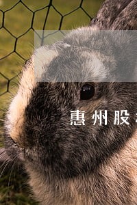 惠州股权融资律师 惠州股权融资律师