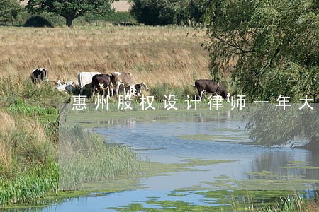惠州股权设计律师一年大概多少钱