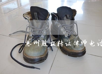惠州股权转让律师电话