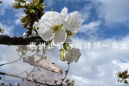 惠州诈骗诉讼律师一年大概多少钱 惠州诈骗诉讼律师一年大概多少钱
