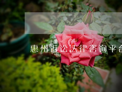 惠州诉讼法律咨询平台 惠州诉讼法律咨询平台