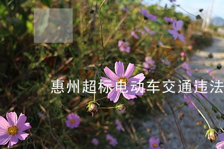 惠州超标电动车交通违法处罚