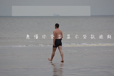 惠懂你贷款显示贷款逾期 惠懂你贷款显示贷款逾期