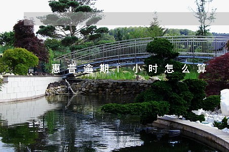 惠普逾期1小时怎么算 惠普逾期1小时怎么算