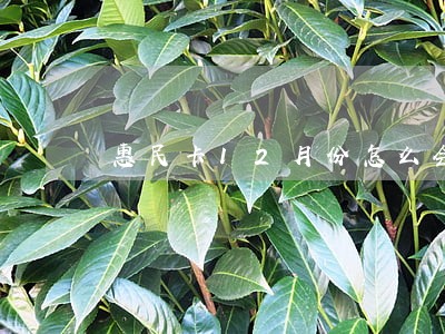 惠民卡12月份怎么会显示逾期 惠民卡12月份怎么会显示逾期