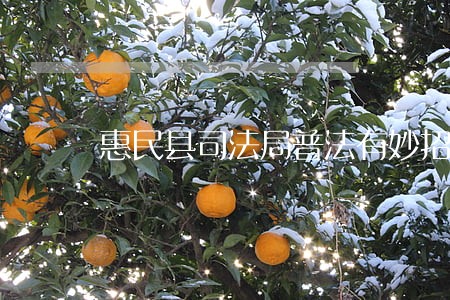 惠民县司法局普法有妙招 惠民县司法局普法有妙招