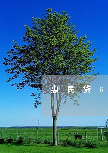 惠民贷6000逾期一年 惠民贷6000逾期一年