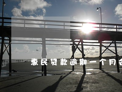 惠民贷款逾期一个月会怎样 惠民贷款逾期一个月会怎样