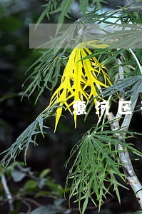 惠济区刑事辩护在线律师 惠济区刑事辩护在线律师