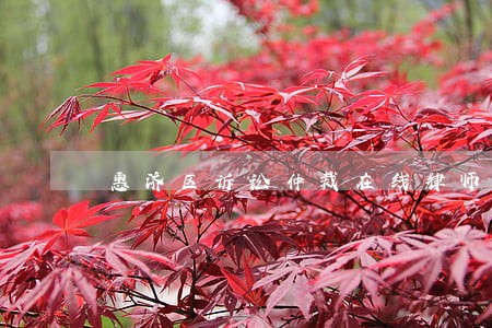 惠济区诉讼仲裁在线律师 惠济区诉讼仲裁在线律师