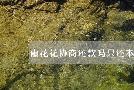 惠花花协商还款吗只还本金 惠花花协商还款吗只还本金