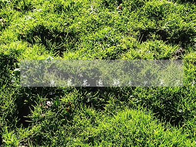 惠花花逾期39天不打电话联系 惠花花逾期39天不打电话联系