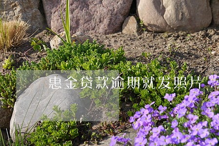 惠金贷款逾期就发照片 惠金贷款逾期就发照片