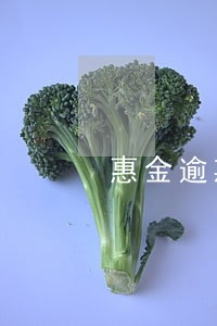 惠金逾期5000 惠金逾期5000
