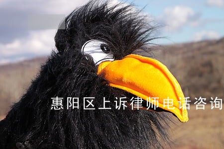 惠阳区上诉律师电话咨询 惠阳区上诉律师电话咨询