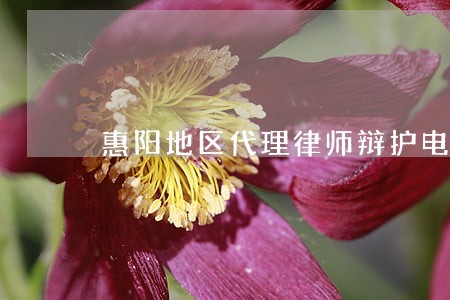 惠阳地区代理律师辩护电话 惠阳地区代理律师辩护电话