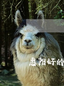 惠阳好的刑辩律师电话咨询 惠阳好的刑辩律师电话咨询
