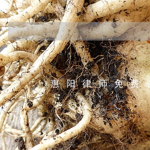惠阳律师免费咨询 惠阳律师免费咨询