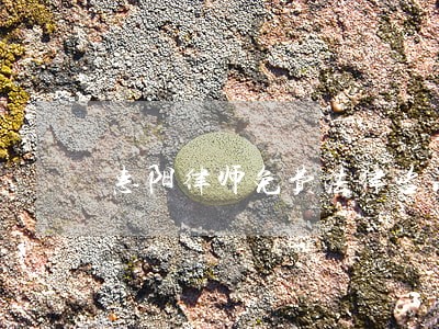 惠阳律师免费法律咨询 惠阳律师免费法律咨询