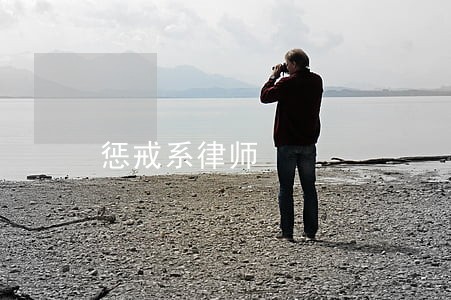 惩戒系律师 惩戒系律师