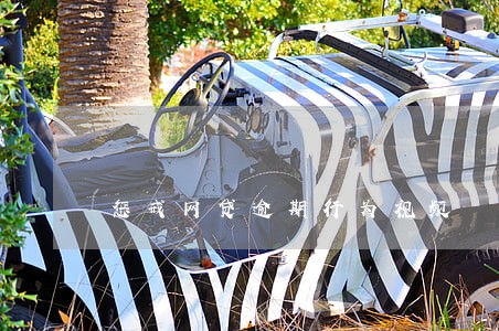 惩戒网贷逾期行为视频 惩戒网贷逾期行为视频
