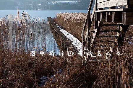 想中断诉讼时效怎么办 想中断诉讼时效怎么办