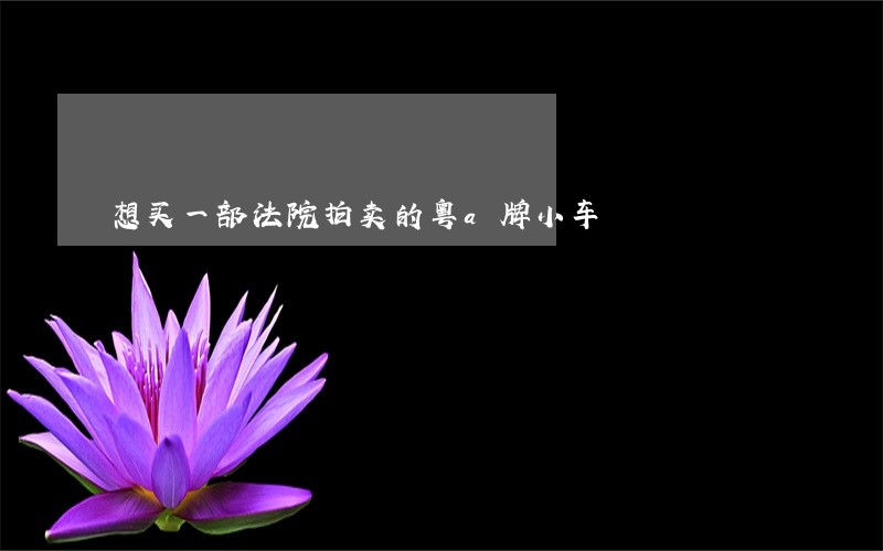 想买一部法院拍卖的粤a牌小车 想买一部法院拍卖的粤a牌小车