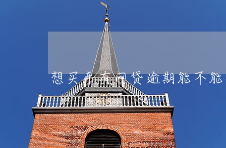 想买车有网贷逾期能不能按揭买车 想买车有网贷逾期能不能按揭买车