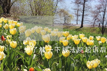 想了解一下被法院起诉后多久判刑 想了解一下被法院起诉后多久判刑