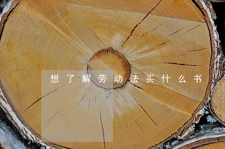 想了解劳动法买什么书 想了解劳动法买什么书