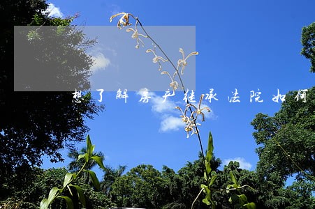 想了解房产继承法院如何分割 想了解房产继承法院如何分割