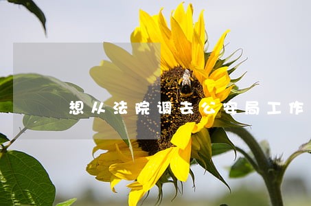 想从法院调去公安局工作可以吗 想从法院调去公安局工作可以吗