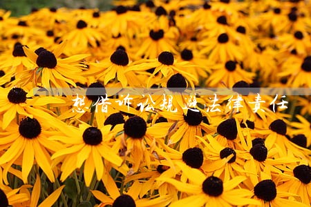 想借诉讼规避法律责任 想借诉讼规避法律责任