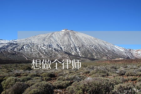 想做个律师 想做个律师