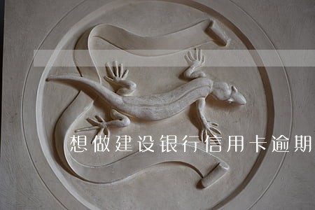 想做建设银行信用卡逾期业务 想做建设银行信用卡逾期业务
